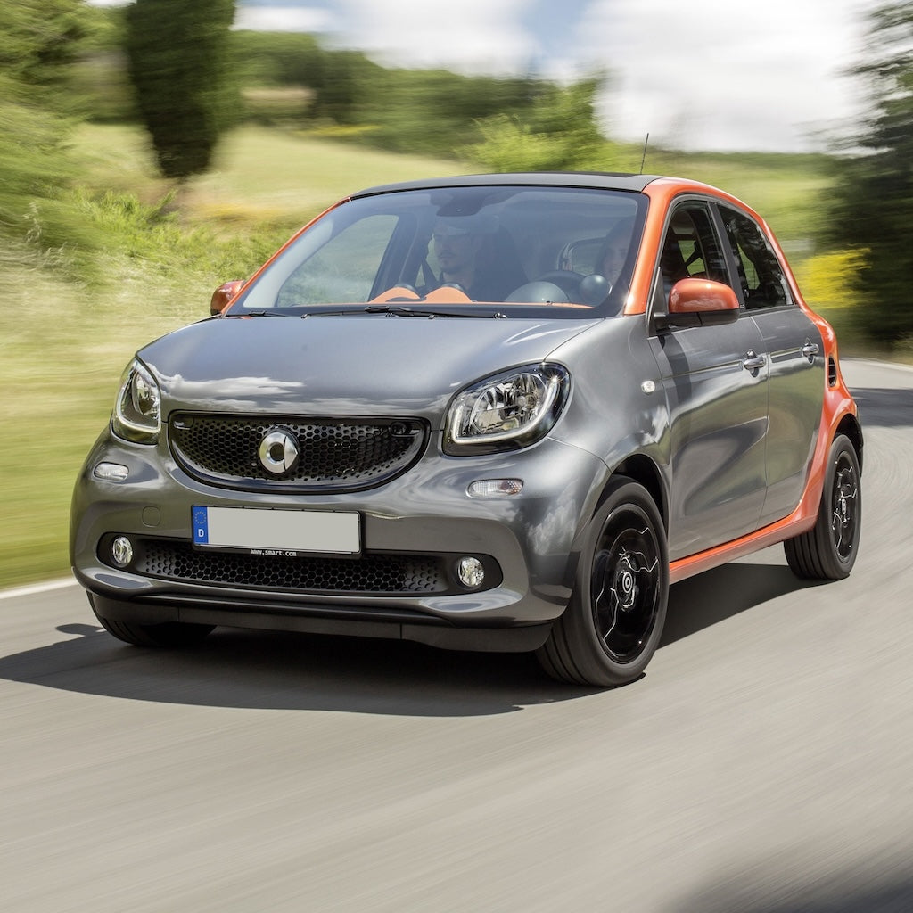 Smart Forfour Skiträger/-halterung