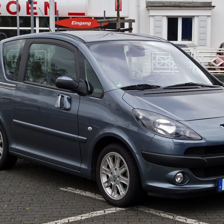 Peugeot 1007 Fahrradträger/Fahrradträger