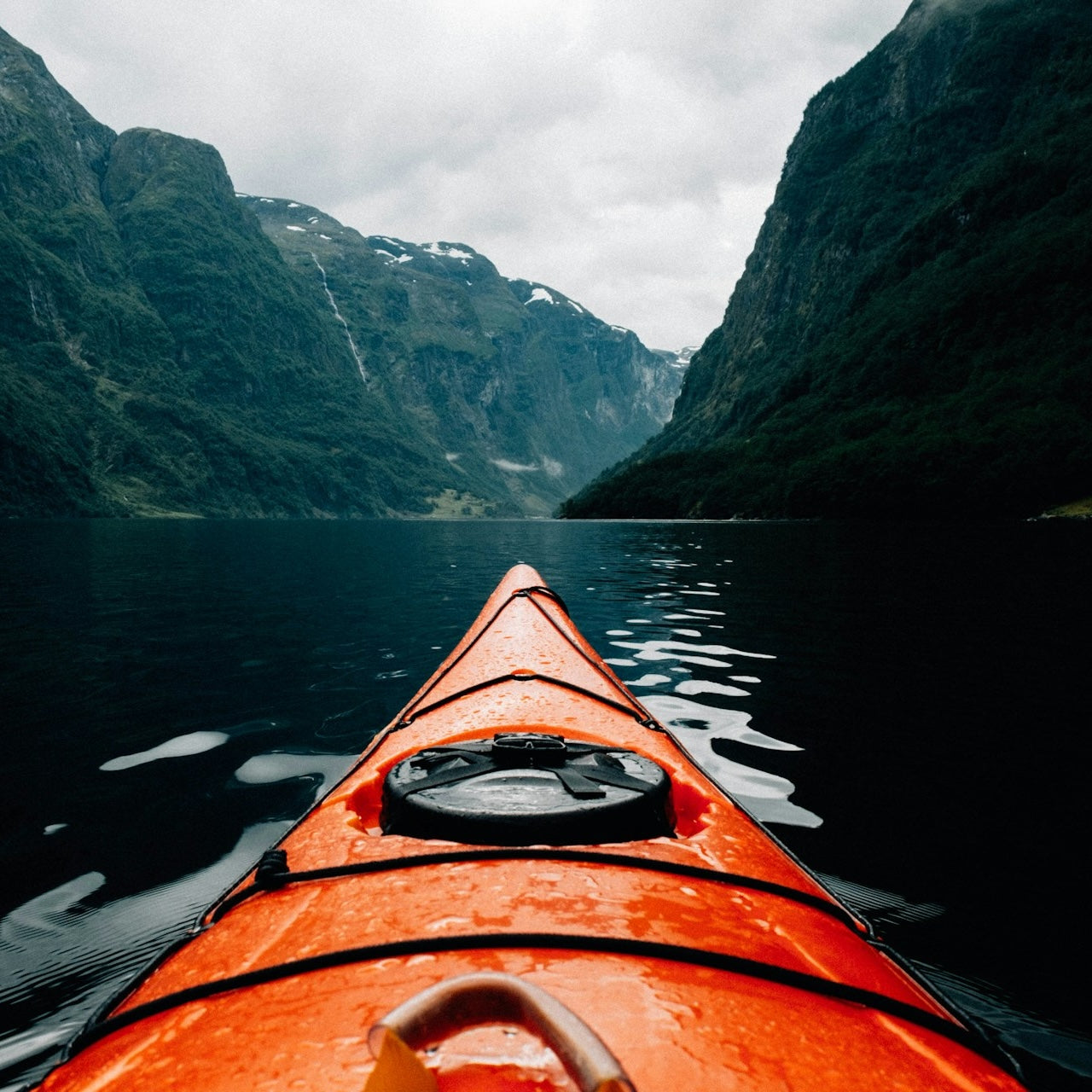 Porte-skis/porte-kayak Fisker