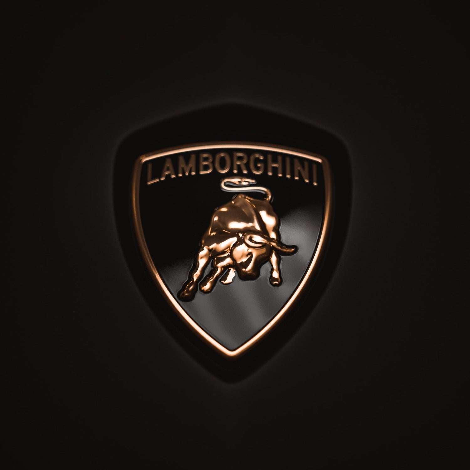 Lamborghini Revuelto Skiträger/Träger