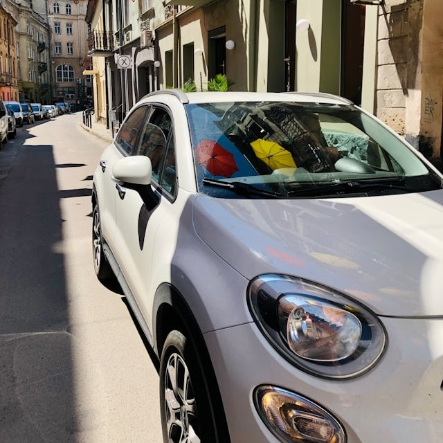 Porte-skis Fiat 500X