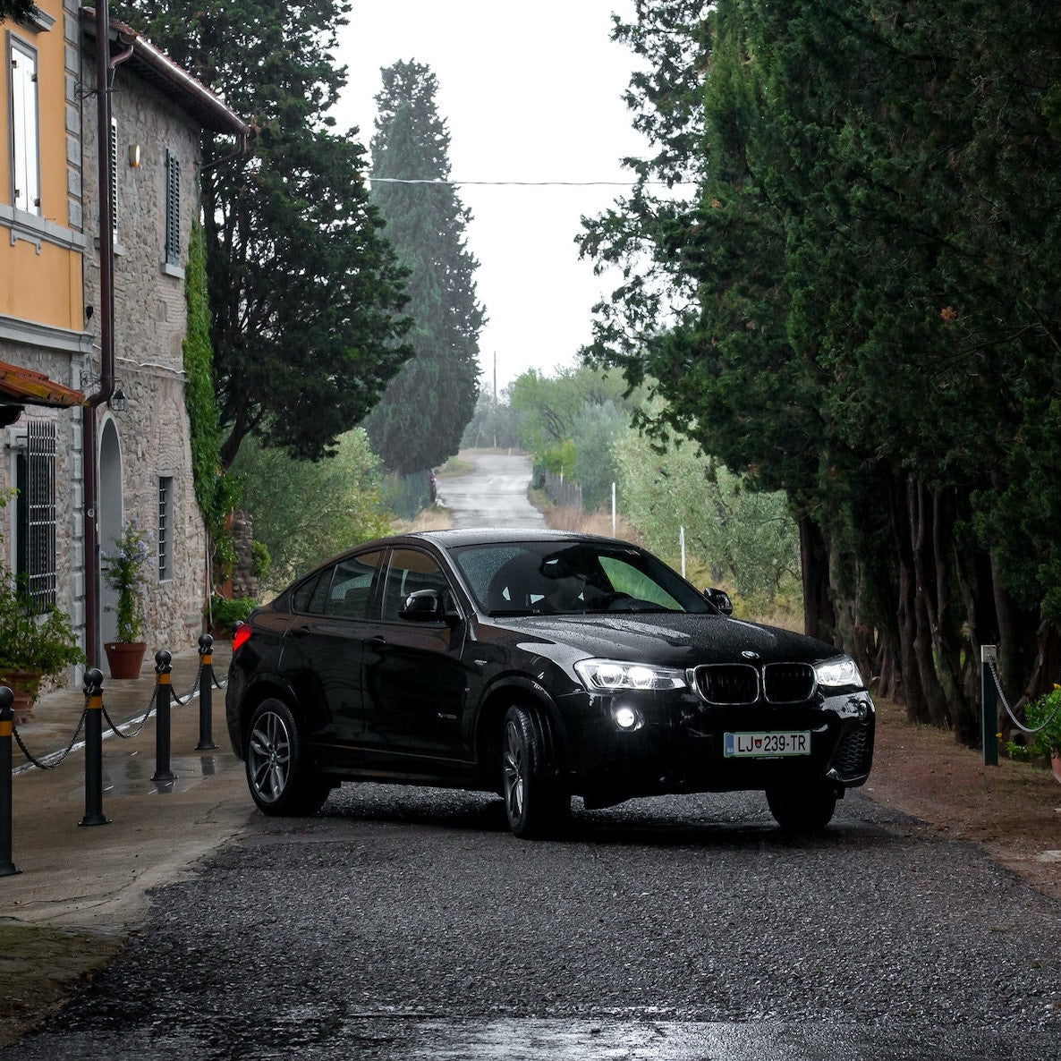 Porte-skis/porte-skis BMW X4