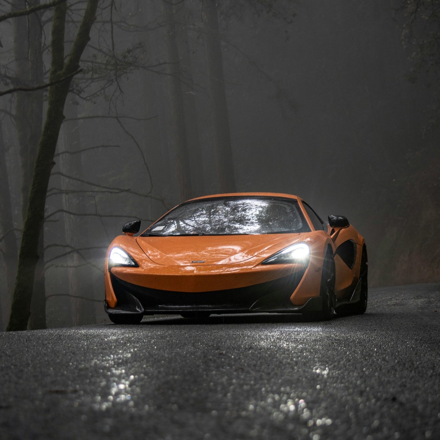 Porte-skis McLaren 570GT