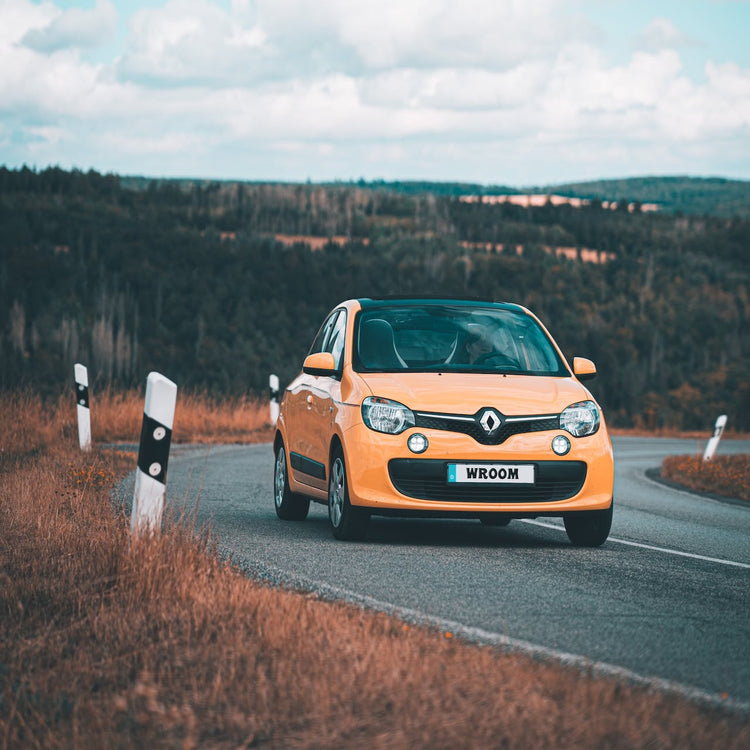 Porte-vélos Renault Twingo