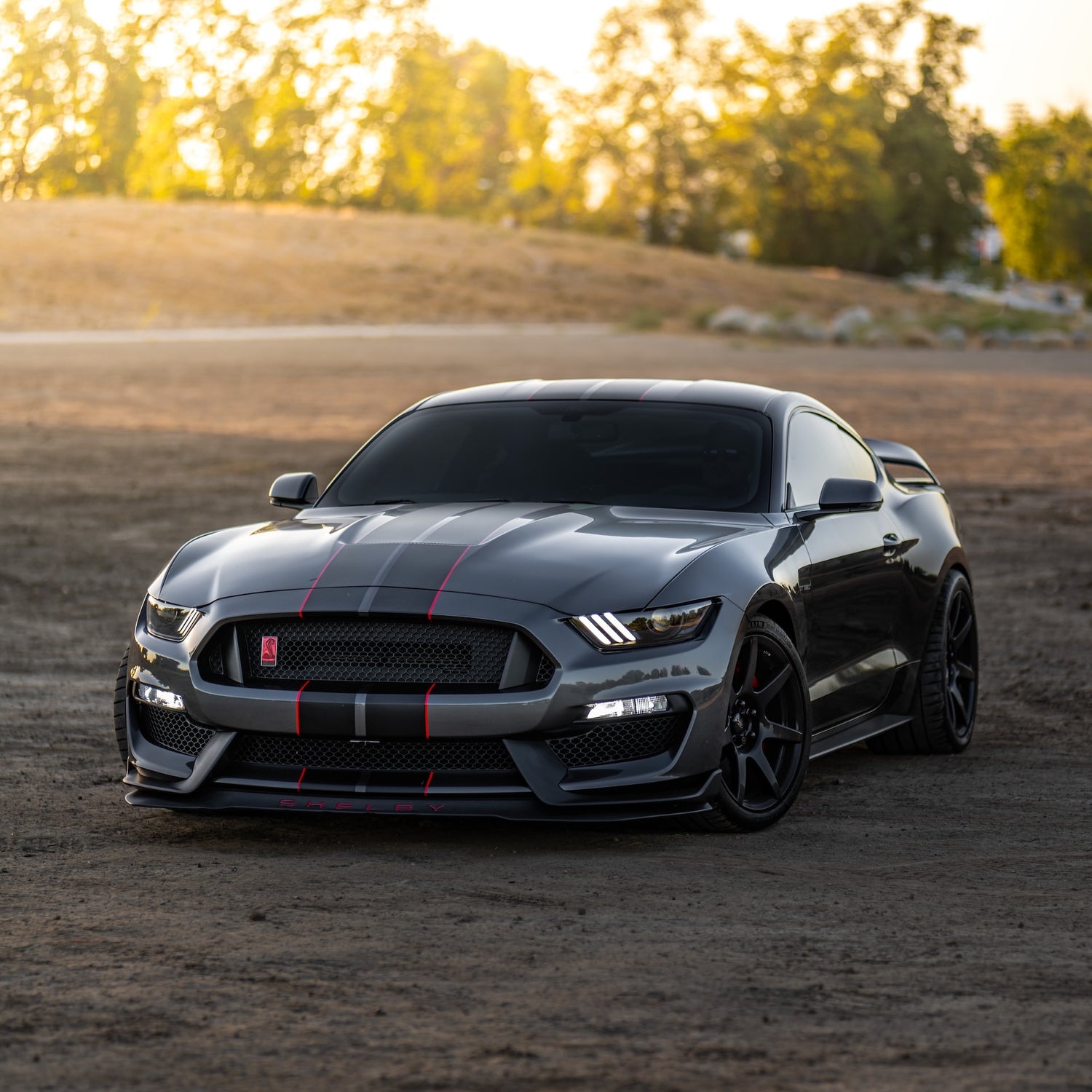 Porte-vélos/porte-vélos Ford Mustang