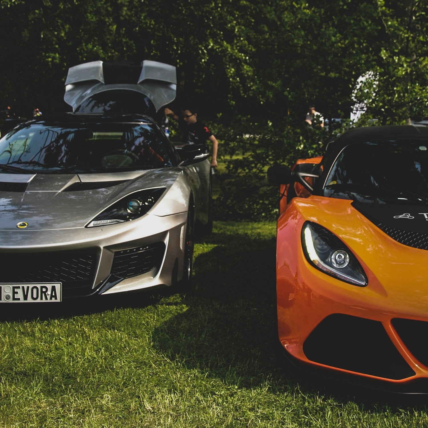 Porte-skis Lotus Evora